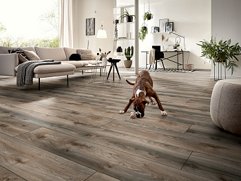 Ламинат Kronotex Mammut Plus D 4792 Дуб серый Макро